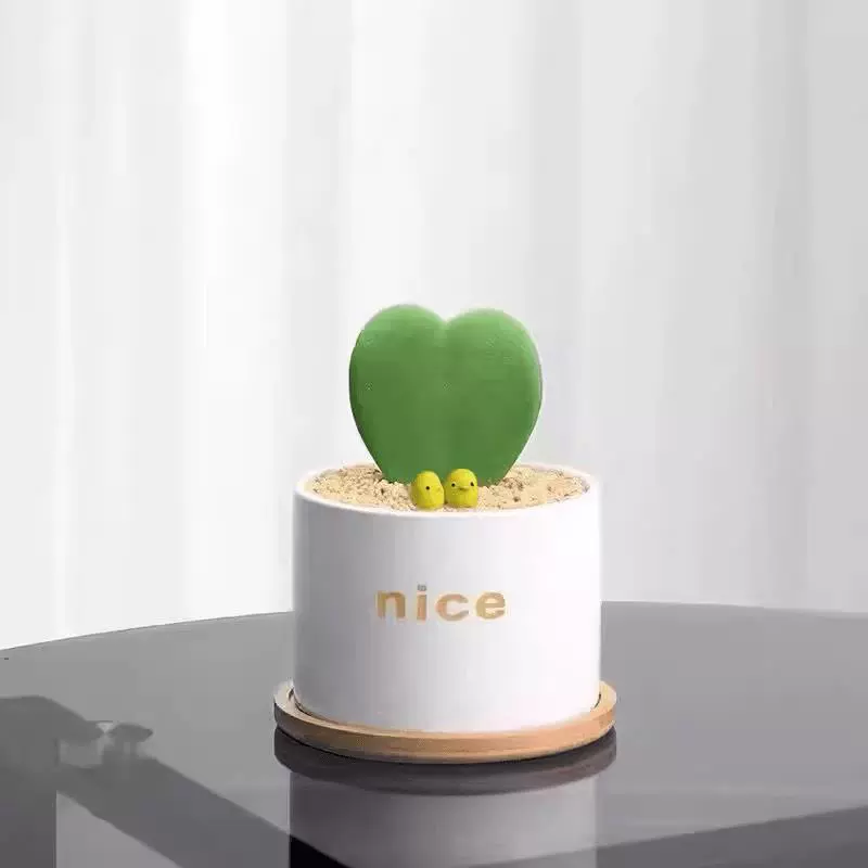 Настольная растение в горшке, модный ленивый горшок, офисный подарок, орхидея в горшке, светолюбивое зелёное растение