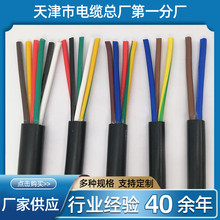 ���S�� RVSP22�p�g�z�b������| RVSP22�p�g���ξ�