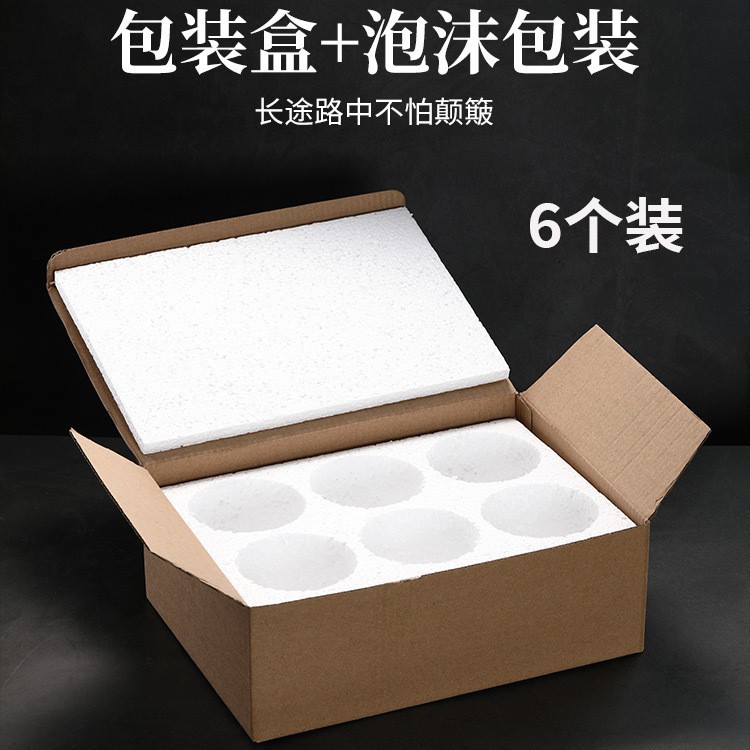 선택할 수 있는 6개 팩