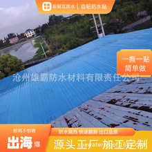 东方雨虹防水卷材非sbs免火烤屋顶彩钢瓦防水屋顶补漏王防水胶带