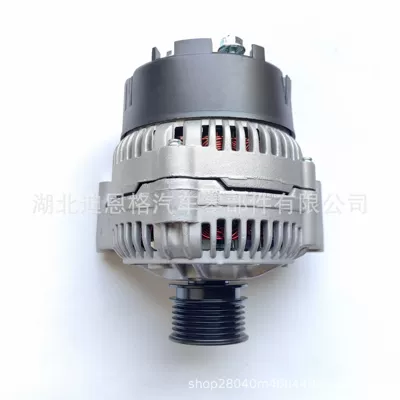 Generatorlar hissələri (Dinamo və detalları) F032112532 Charger