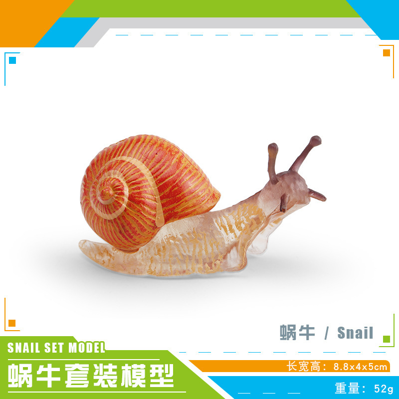 PL127-3757 Caracol 52g
