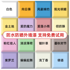 外壁塗料、屋外防水・日焼け止め塗料、セルフブラッシング壁塗料、特殊防水塗料、屋外セメントレンガ壁ラテックス塗料