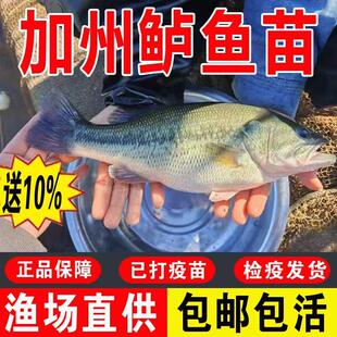 �|�~�絭ˮ�Bֳʳ���r���w·��������ˮ�^�p��ʳ��ںڼ����|�~��