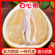 正宗四川白心柚子9斤整箱新鲜当季水果10批发包邮5非福建红心蜜柚