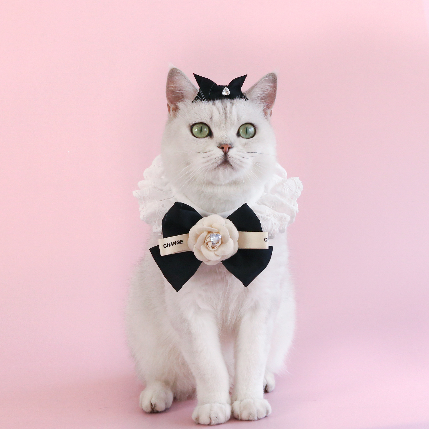 Pet Puppet Gato Fairy encaje super gran arco flor taladro bibie amor broche set