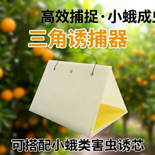 ���ǹ�ω�T��������������С�w�x�T�����T���\�T��delta trap���l