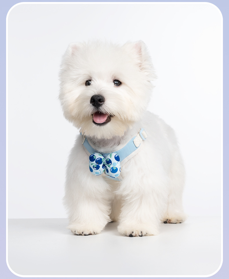 Dog Harness With Interchangeable Bow Tie For Small Dogs Outdoor_voghion.com