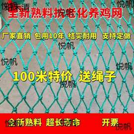 拦鸡网养鸡围网家禽养殖网山鸡网尼龙网菜园围栏网塑料网户外天网