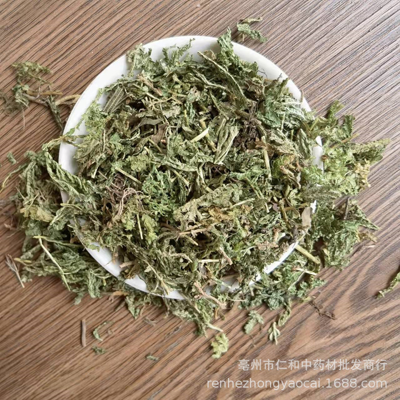 Dried Selaginella Herb Shi Shang Bai Whole Plant Traditional TCM Botanical Bulk Supply key features