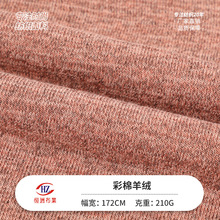 现货 彩棉羊绒拉架 弹力针织面料双色混色汗布 女装打底衣布料