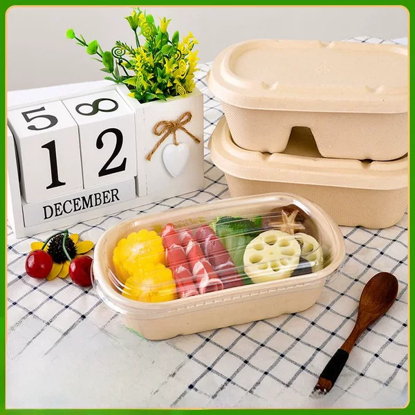 Disposable Pulp Lunch Box Fruit Salad Degradable Sushi Lunch Box Light Food with Lid Flight Take-out Package Box