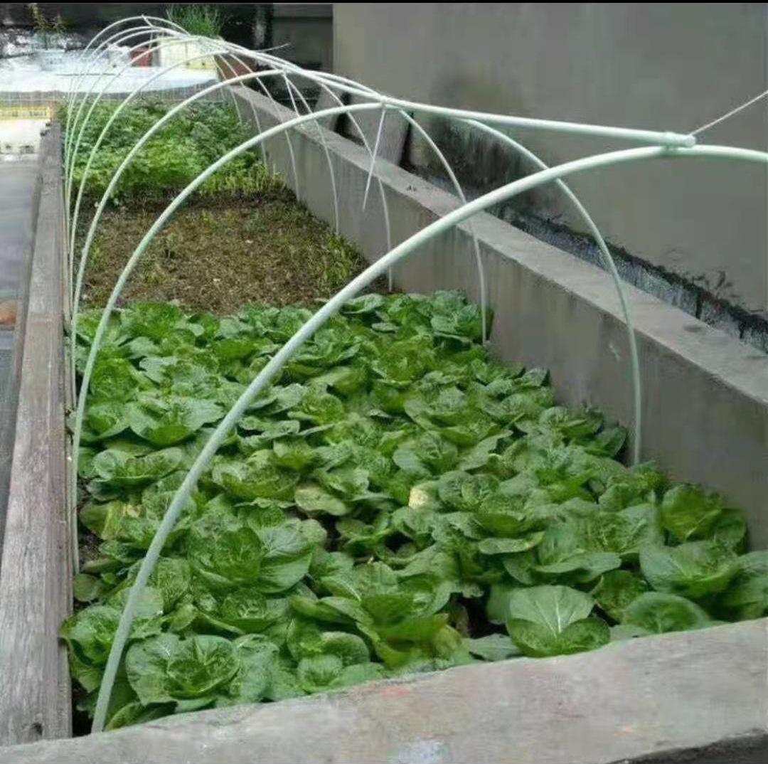 特種建材玻璃纖維扁條型材 扁條玻纖片 農用拱棚杆高韌性抗老化