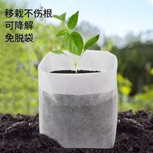 无纺布育苗袋批发营养钵美植袋可降解育苗杯加厚容器盆园艺种植袋