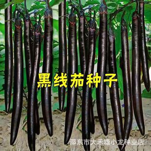 ���L�ھ��ѷN���ݴ����＾�ļ��̨���Ժ��������r�L�ѾG���ӷN��
