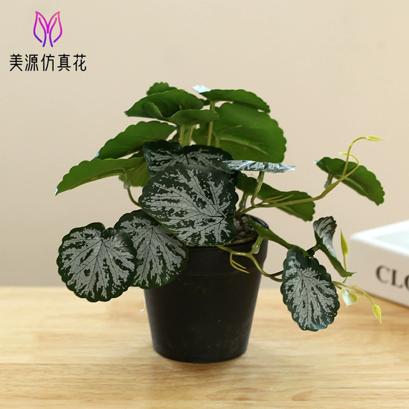 New hanging green plant bonsai manufacturer Plant bonsai Creative Room indoor small ornaments Amazon green plant