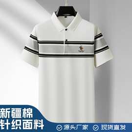 外贸润恩堡罗2025春夏新款男士polo衫高品质休闲绣花短袖条纹t