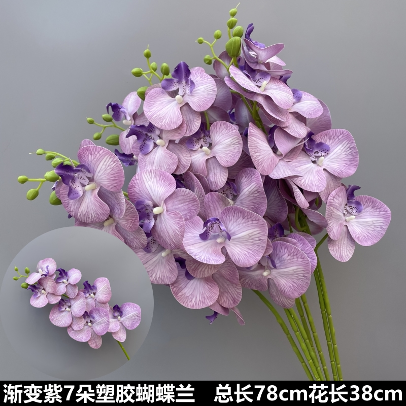 그라데이션 보라색 플라스틱 호접란