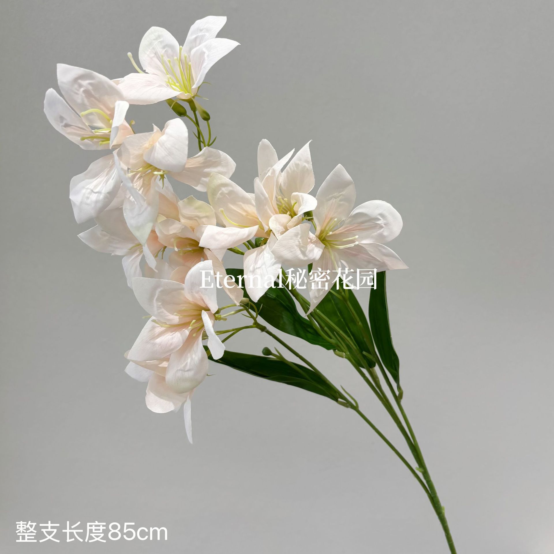수선화 백합