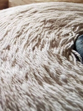 6��1.2mm�������K�����޾�ʳƷ�����������Ӿ�Chef�þ�