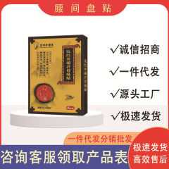 Li Shizhen 医療腰椎椎間板遠赤外線磁気療法鎮痛パッチ 4 パッチ/箱工場直接供給在庫あり迅速な配送
