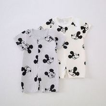 �냺��ͨ�B�w��2025�ļ��¿���������������·��������b����