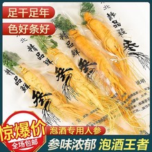 人参长白山人参小鲜参小人参新鲜批发人参饭店会销礼品赠送