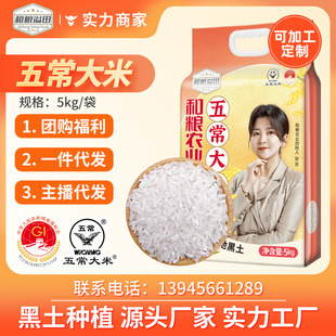 �����峣����GB/T19266���10�����ז|������5kg�峣����