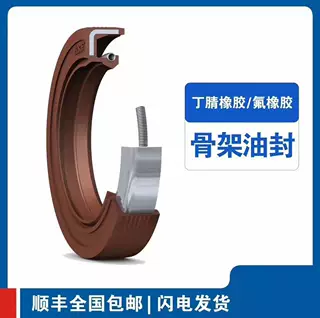 进口油封70X100X10 HMSA10 V
