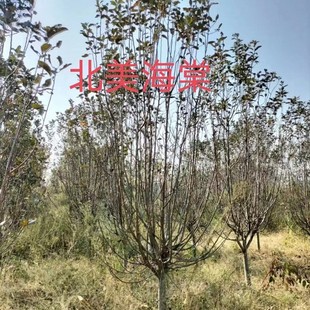 ���ش������l�����k������D3-25���փ��|����@�־G��Ʒ�N�Rȫ