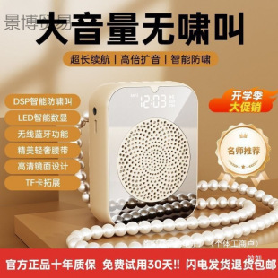 [Recommended by Famous Teachers] Large Volume Amplifier Portable Little Bee Anti-Howling Wireless Multi-Function Conference Microphone
