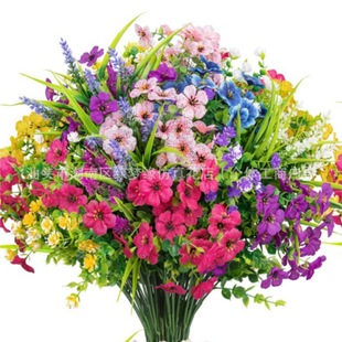TEMU�����ȼ������_�m����ֲ����컨����ֲ���҃��b[���Ҿ�