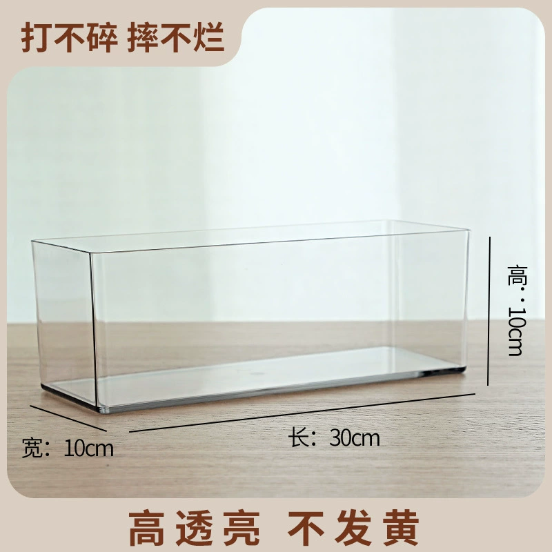 Transparent Square Hydroponic Vase, Desktop Shatterproof Planter, Multiple Sizes (8–30 cm)