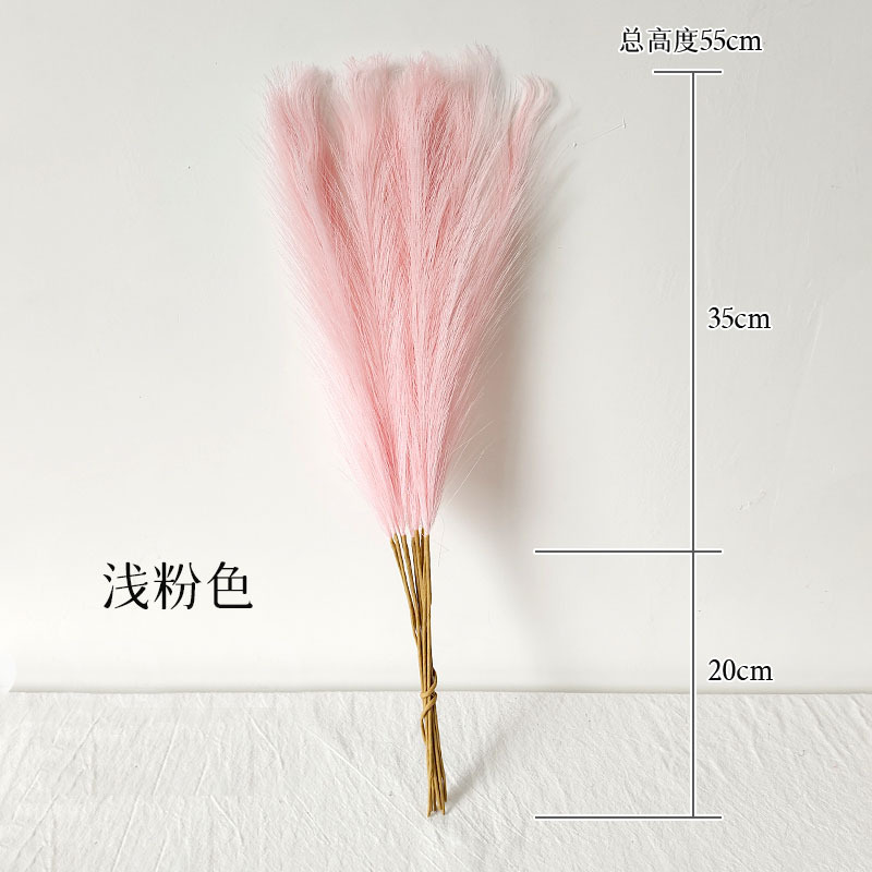 A principios de otoño Morandi sistema de color sistema de caña imitación de fuegos artificiales props de disparo Macaron sistema de color transfronterizo mayorista