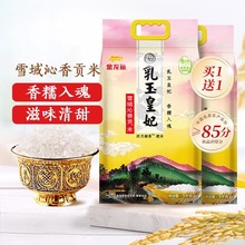 金龙鱼乳玉皇妃雪域沁香贡米5KG东北大米粳米买一送一到手10kg