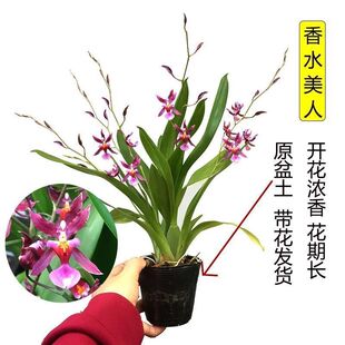 ���������m��ˮ���˙��Ҽt ԭ�莧���l؛���B���B�ɻ��_��