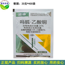 20%���������~�ۄ���������ͪ �rș�������t�������������� ���F