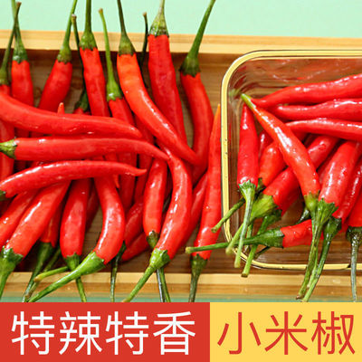 millet Pepper fresh pickled pepper Red Hot Chili Peppers Super Special spicy Chili peppers Season wholesale On behalf of