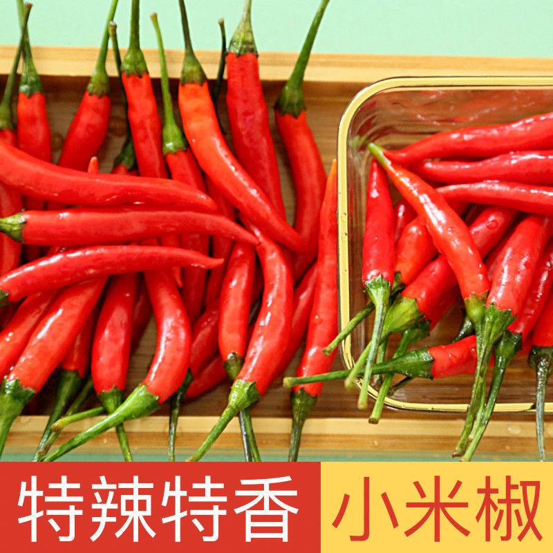 millet Pepper fresh pickled pepper Red Hot Chili Peppers Super Special spicy Chili peppers Season wholesale On behalf of