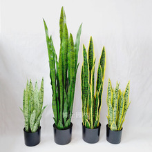 �S��ֱ�N�Gֲ�J�C���滢Ƥ�m�ӼҔ[���҃��辰�b�β�m����Gֲ