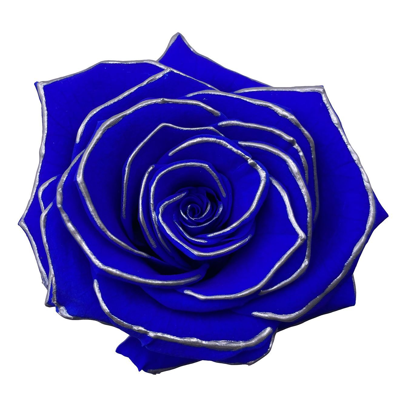 Grado una flor eterna pequeña fragancia Rosa fragancia serie de canciones Borde negro Rosa delineador de ojos flor seca floral caja de regalo de enseñanza ramo