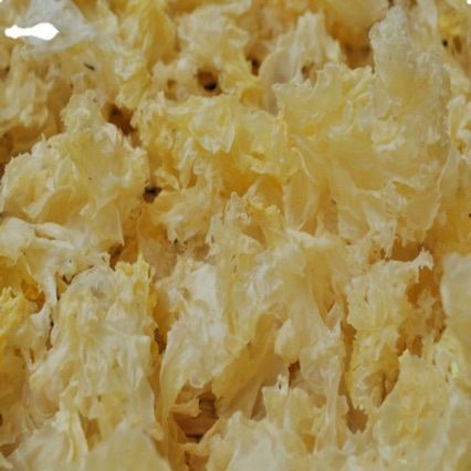 椴木银耳碎花无杂小朵碎白木耳雪耳子碎片一烧即糯无根500克包邮