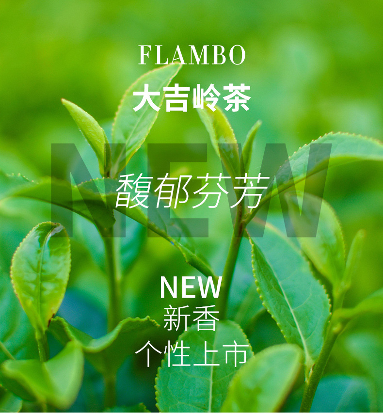 French Rambo Car Fragrance Pieces Replacement Fragrance Pieces Car Fragrance Fragrance for Pregnant Women Can Use French Imported Essential Oil