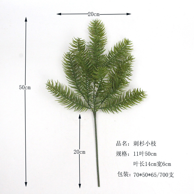 刺杉 XRB-333 (15).jpg