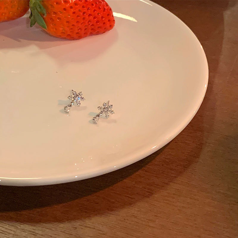 Snowflake water droplet zircon earrings for women, with a light luxury high-end temperament, niche earrings, new cool_voghion.com