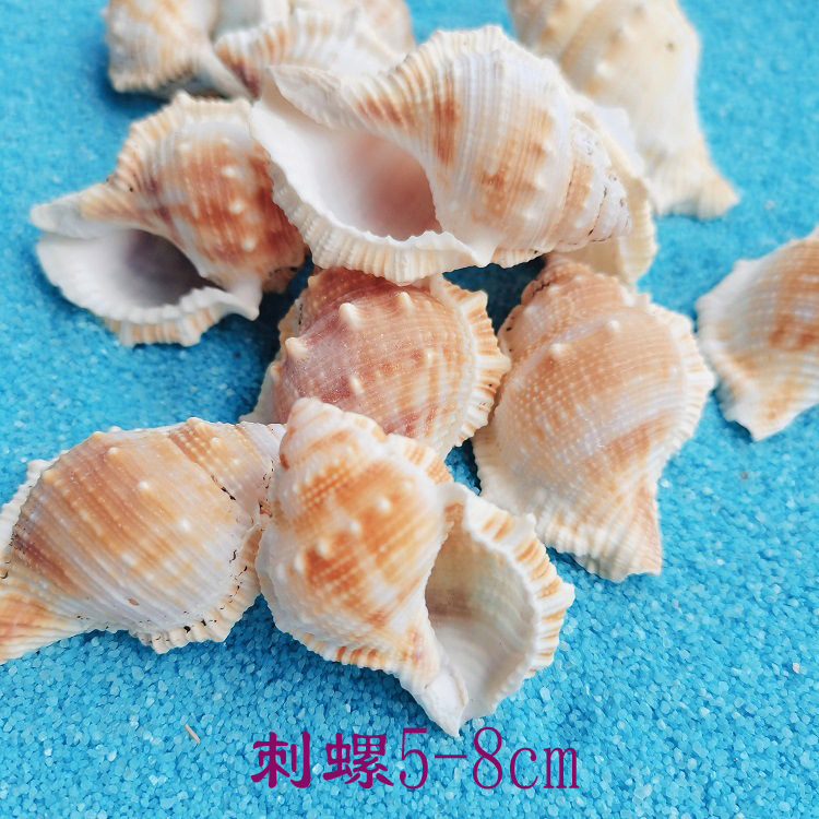刺螺