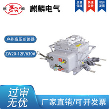 麒麟直流分界开关柱上ZW20-12F/630A-20KA手动隔离高压断路器