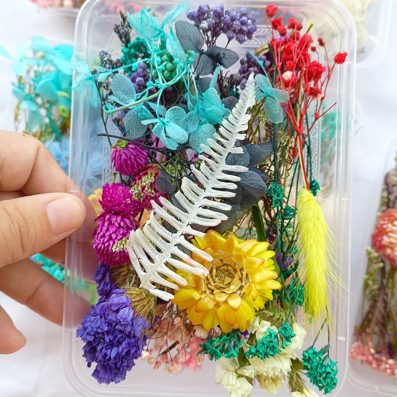 微信图片_202206281617545