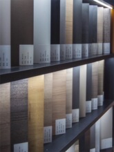 ���sɫ��ɫ��ȫ�ݿɶ����T��̶�չ�ܙ����T�������ɴu����Сn&