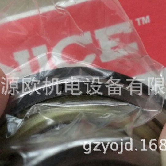 7610DLGTN 美国NICE轴承